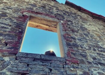 Filosofia Zen: Cosa significa Ware Tada taruwo shiru ?